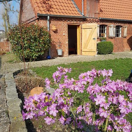 Ferienhaus Voern-Diek Hohnstorf Exterior photo