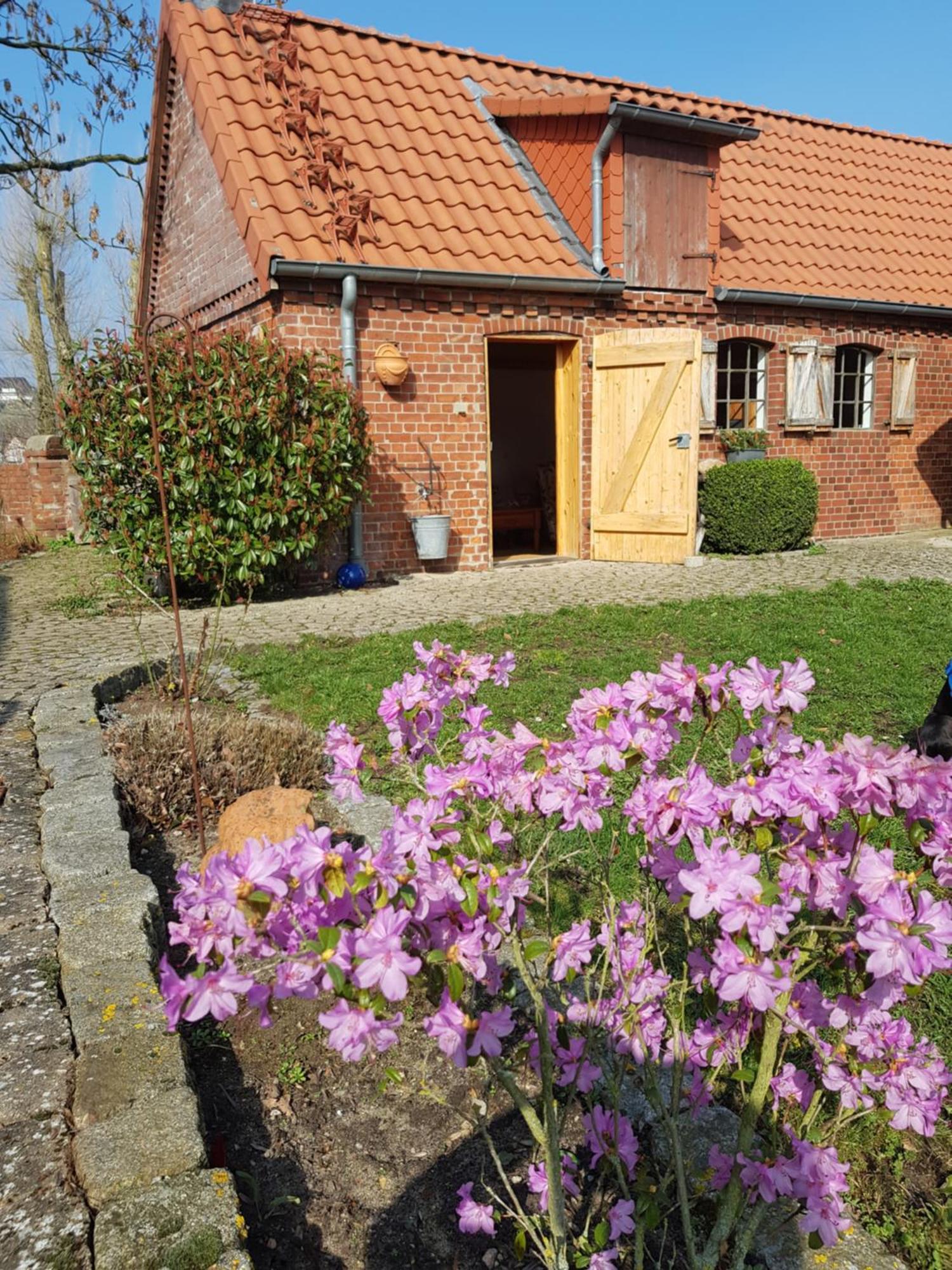 Ferienhaus Voern-Diek Hohnstorf Exterior photo